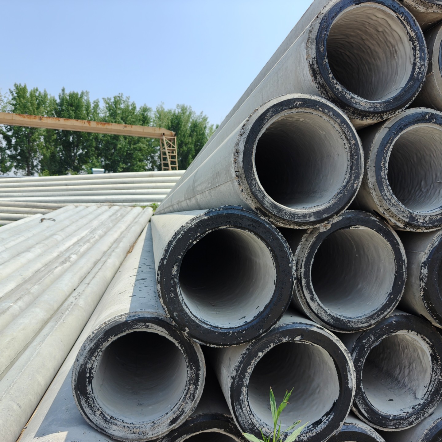 科尔沁10米预应力水泥电杆